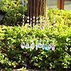 Glass Teardrop/Cone/Oval/Round Pendant Decorations WG34775-01-4