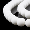 Opaque Glass Beads Strands G-T106-335-2