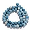 Natural Gemstone Beads Strands G-L367-01-10mm-6