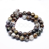 Natural Pietersite Beads Strands G-G823-05-10mm-2