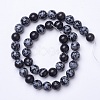 Natural Snowflake Obsidian Beads Strands G-D855-11-10mm-2