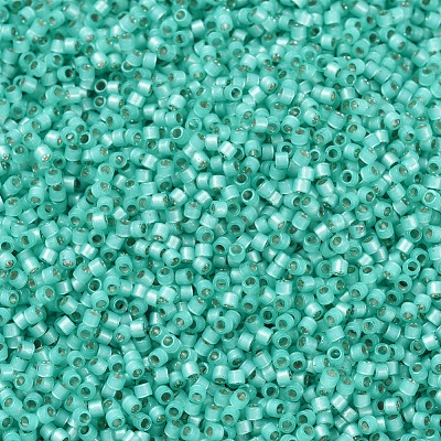 MIYUKI Delica Beads SEED-X0054-DB0627-1