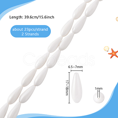 2 Strands Natural Freshwater Shell Beads Strands BSHE-PH0001-53-1