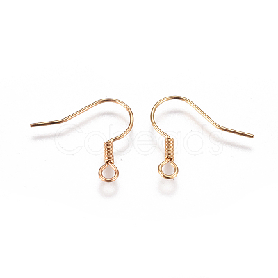 304 Stainless Steel Earring Hooks STAS-F227-28-G-1
