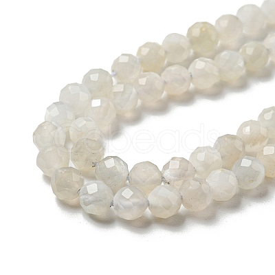 Natural Moonstone Beads Strands G-F736-01-AB-1