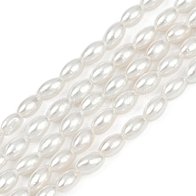 Electroplated Shell Pearl Beads Strands BSHE-Z009-10B-1