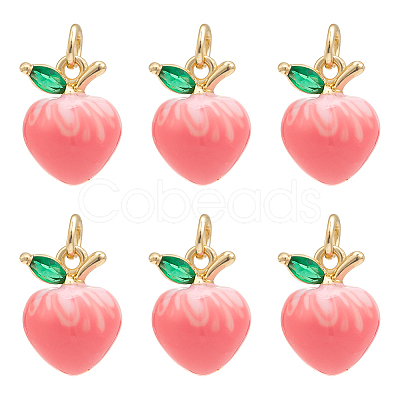 6Pcs Brass Micro Pave Cubic Zirconia Charms KK-PH0012-73-1