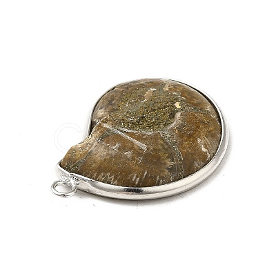 Natural Conch Fossil Pendants BSHE-E025-02P-1