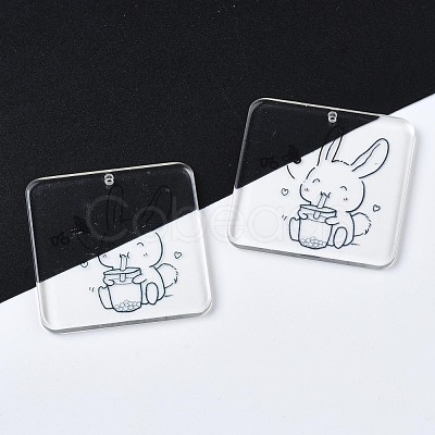 Transparent Printed Acrylic Pendants OACR-N133-001-03-1