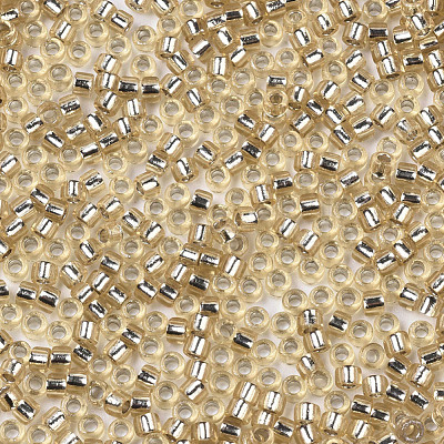 Glass Seed Beads SEED-S042-04A-05-1