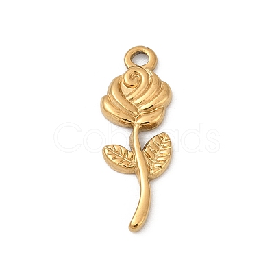 304 Stainless Steel Pendants STAS-C121-12G-1