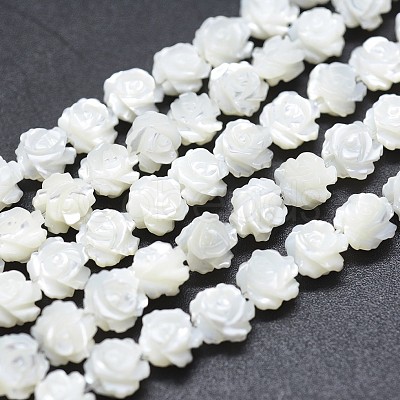 Natural White Shell Beads Strands SSHEL-P015-01A-12mm-1