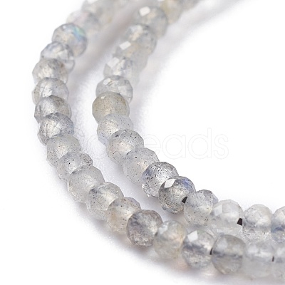 Natural Labradorite Beads Strands G-A026-C03-1