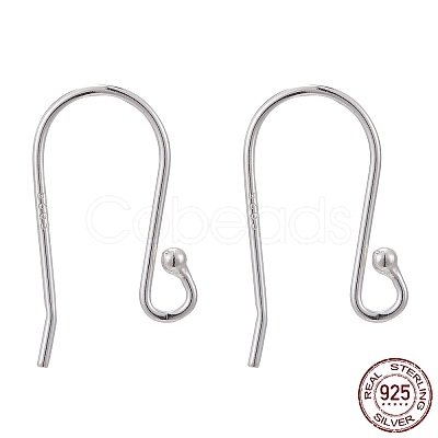 925 Sterling Silver Earring Hooks STER-G011-20-1
