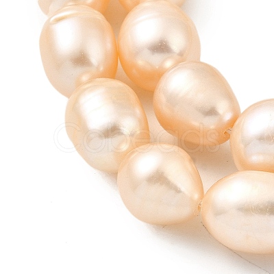 Natural Cultured Freshwater Pearl Beads Strands PEAR-I007-01F-07B-1