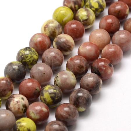 Natural Plum Blossom Jasper Beads Strands G-A163-02-8mm-1