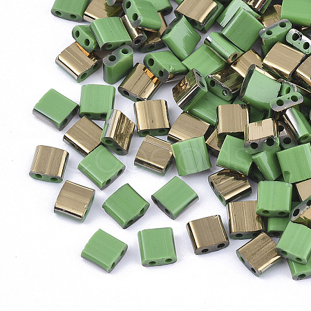 FGB 2-Hole Glass Seed Beads SEED-S031-L-047-G-1