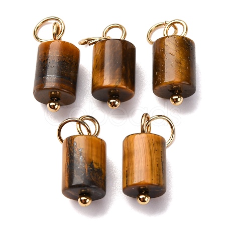 Natural Tiger Eye Column Charms with 304 Stainless Steel Jump Rings G-Q032-01A-1