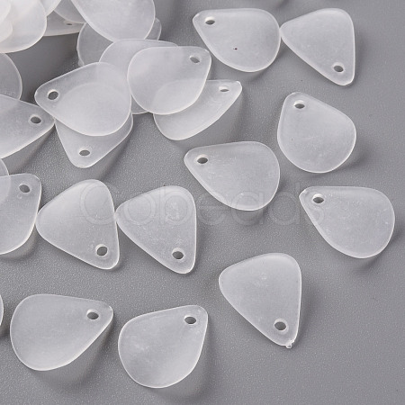 Transparent Frosted Acrylic Pendants MACR-S371-09A-701-1