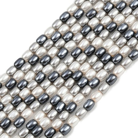 Electroplated Shell Pearl Beads Strands BSHE-H113-06B-02-1