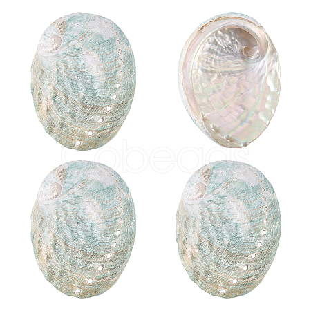 4Pcs Natural Shell Display Decorations DJEW-ME0001-23-1