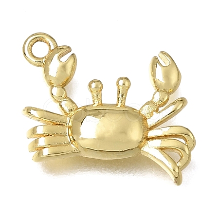 Brass Charms KK-K427-49G-1