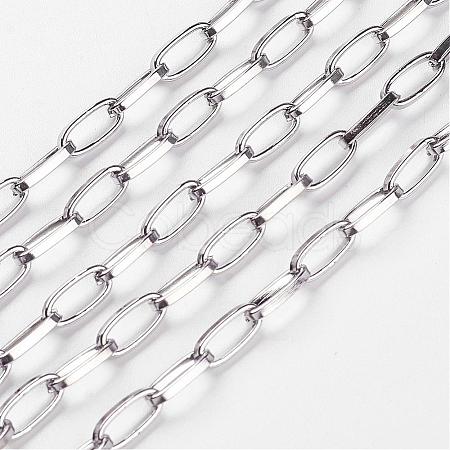 Iron Paperclip Chains CH-R025-10x5mm-P-1