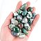 Natural Moss Agate Healing Stones, Oval Stones, Pocket Palm Stones for Reiki Balancing, 15~20mm, 50g/set