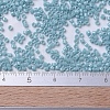 MIYUKI Delica Beads X-SEED-J020-DB0217-4