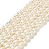 Natural Cultured Freshwater Pearl Beads Strands PEAR-E016-171-1