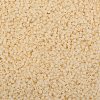TOHO 11/0 Round Beads SEED-XTR11-0147F-2