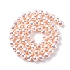 UV Plating Pearlized Glass Pearl Beads Strands GLAA-F128-01A-T09-4