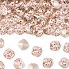 Preciosa® MAXIMA Crystal Fancy Stones X-PRC-FC10-70530-1