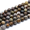 Natural Pietersite Beads Strands G-G823-05-10mm-1