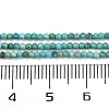 Natural HuBei Turquoise Beads Strands G-C181-A01-01-5