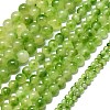 Natural Malaysia Jade Beads Strands G-L645-C01-10mm-31-2