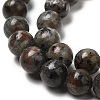 Natural Fluorescent Syenite Rock(Glow under UV Light) Beads Strands G-K340-A05-05-4