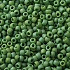 TOHO 11/0 Round Beads SEED-XTR11-0407F-2