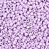 12/0 Baking Paint Glass Round Seed Beads SEED-S036-01A-08-3