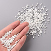 12/0 Glass Seed Beads SEED-US0003-2mm-41-4