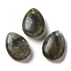 Natural Labradorite Teardrop Charms G-M410-01-01-1