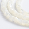 Natural Trochid Shell/Trochus Shell Beads Strands SSHEL-L016-13A-2
