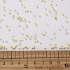 11/0 FGB Grade A Baking Paint Glass Seed Beads X-SEED-N001-A-1033-3