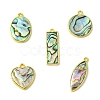 5Pcs 5 Styles Natural Paua Shell Pendants KK-CJ0003-10-1