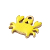 Ion Plating(IP) 201 Stainless Steel Charms STAS-A101-01A-01G-2