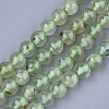 Natural Prehnite Beads Strands G-S333-6mm-032-1