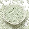 Baking Paint Pearlized Glass Seed Beads SEED-C001-04A-01-2