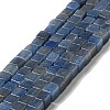 Dyed & Heated Natural Blue Aventurine Beads Strands G-I327-A01-1