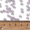 Glass Seed Beads SEED-H002-E-A1421-4