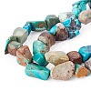 1 Strand Natural HuBei Turquoise Beads Strands G-TA0003-48-2